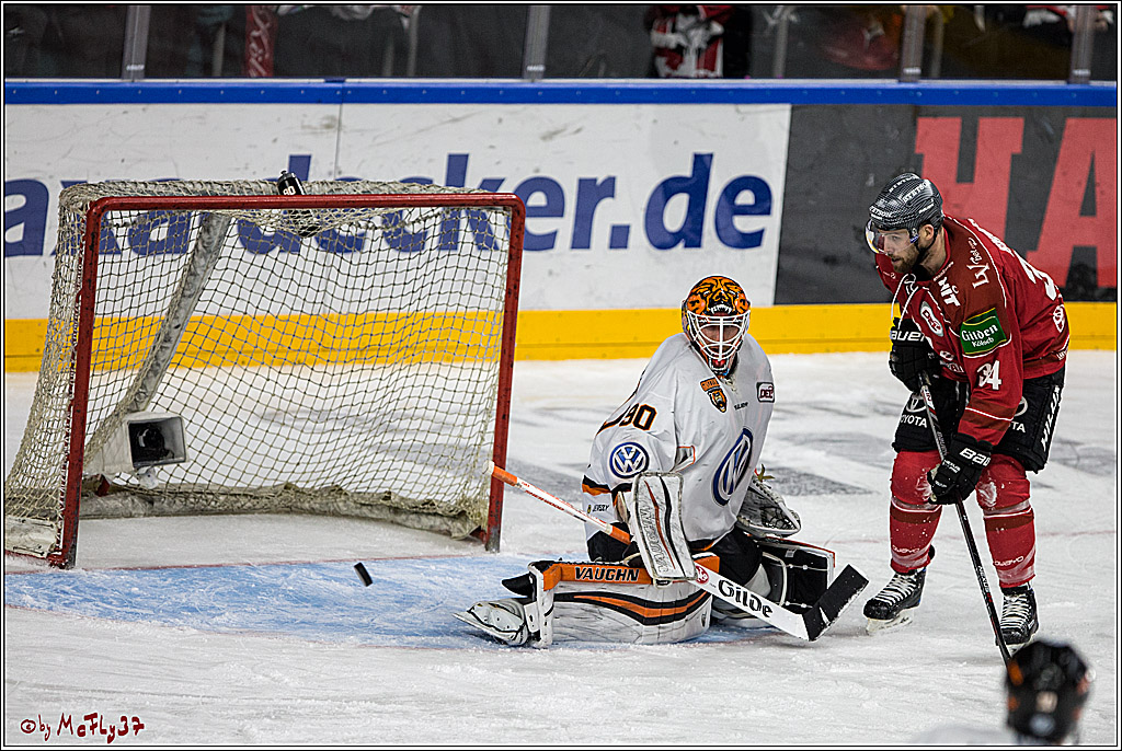 DEL, Koelner Haie - Grizzlys Wolfsburg, 21.03.2017